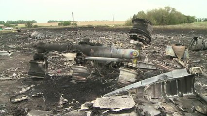Relatório diz que MH17 foi perfurado por projéteis