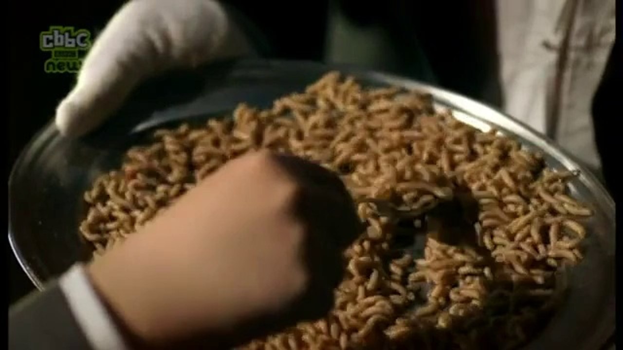 Episode 5 - Carpathian Feast