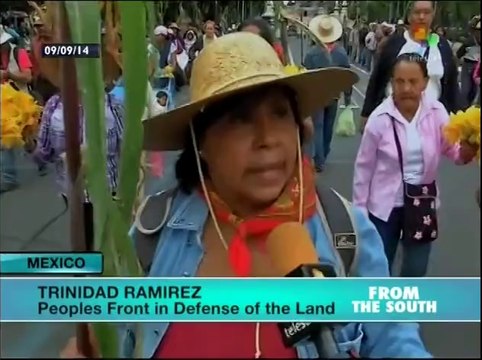 Mexican peasant farmers protest plans for new airport