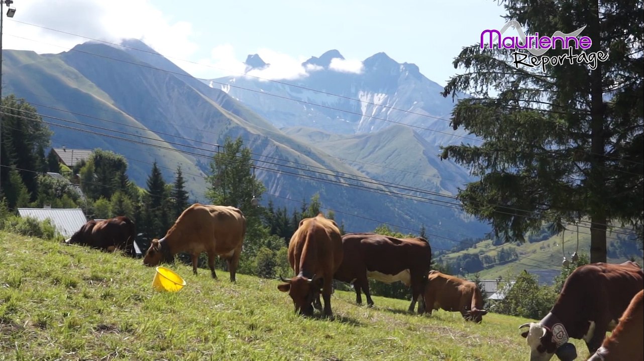 Maurienne Reportage # 20