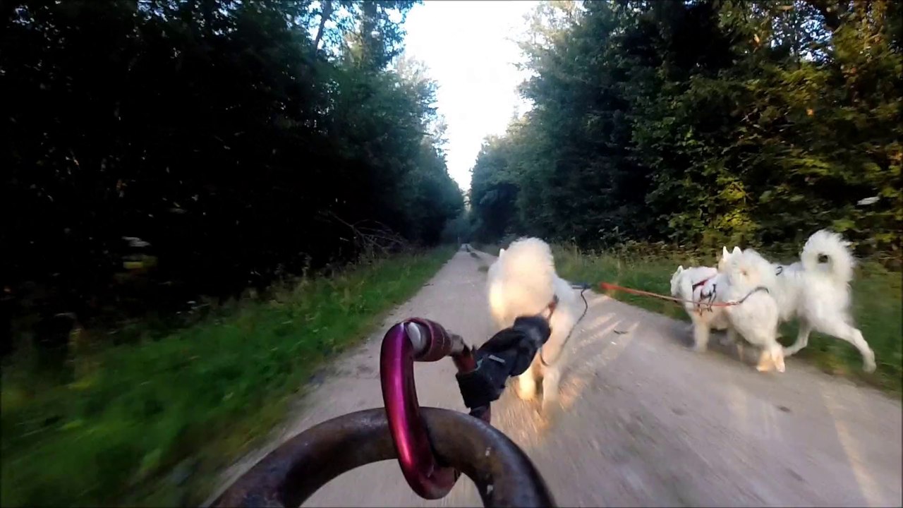 1 entrainement en kart leger