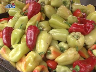 Povrće sazreva preko noći?, 09. septembar 2014. (RTV Bor)