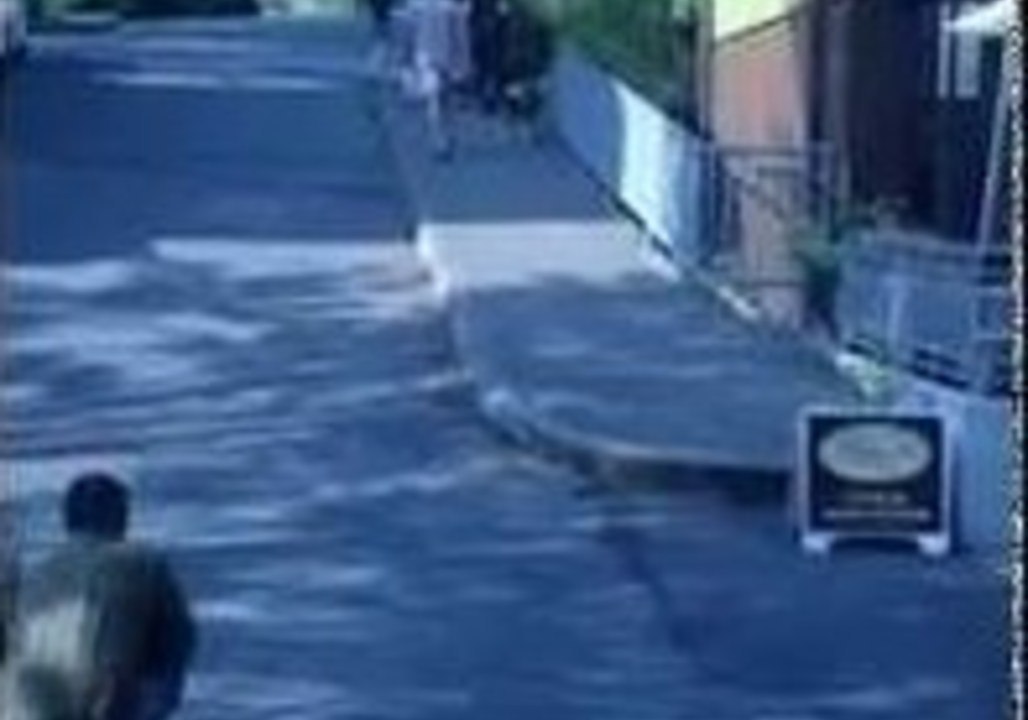 Smart Dog Invents New Way of Playing Fetch