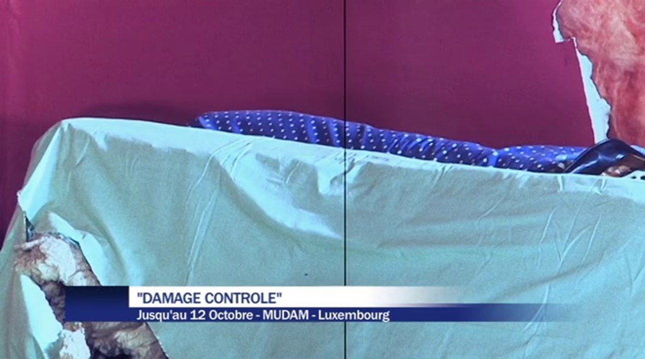 Damage Controle (Mudam)