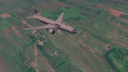 Le crash du vol MH17