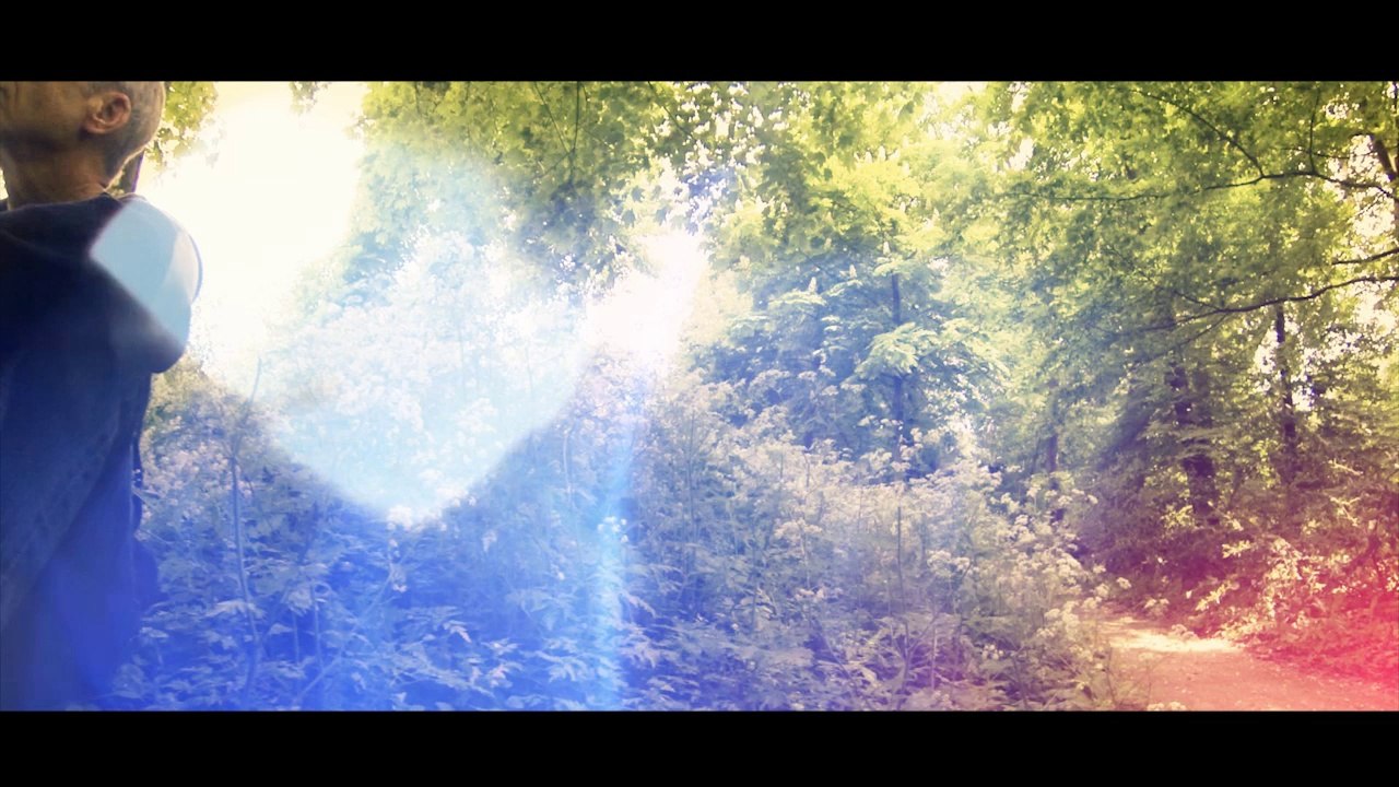 BEN SIDRAN - "A" Is For Alligator