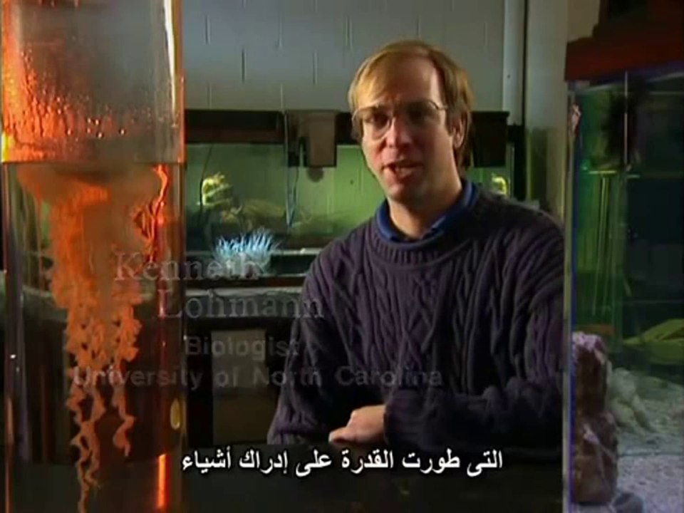 فيلم #وثائقي فهم المغناطيسية _ #Documentary understand magnetism