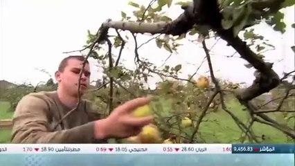 # الحلول الذكية _ HD