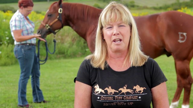 Welcome to Granville Veterinary Service