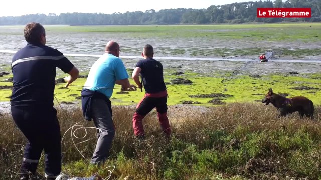 Pont-l'Abbé. Maitre-chien : les pompiers se forment