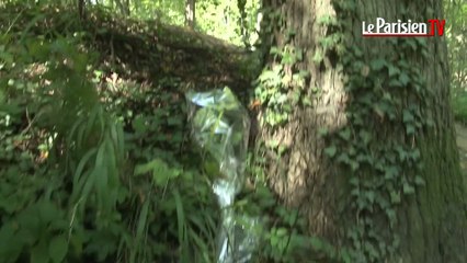 Joggeuse poignardée à mort : stupeur au Parc de Sevran