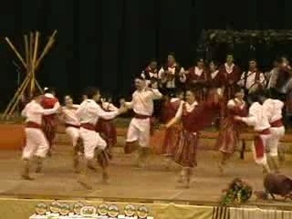 Flores de Madeira - 1