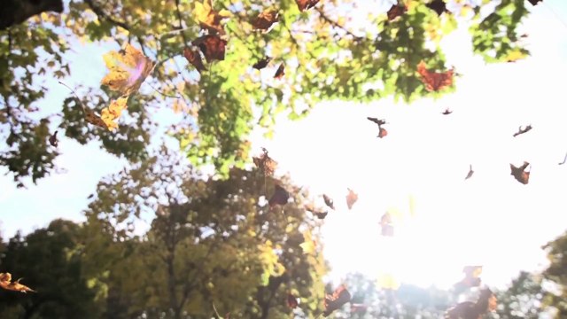 Cem Adrian - Beni Hala Öldürüyorsun