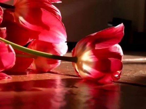 sesliaygul.com Sinan Özen - Seni Cok Ama Cok Seviyorum ♥_(360p)