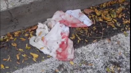 Roma, accoltella 4 carabinieri in zona Prati: fermato