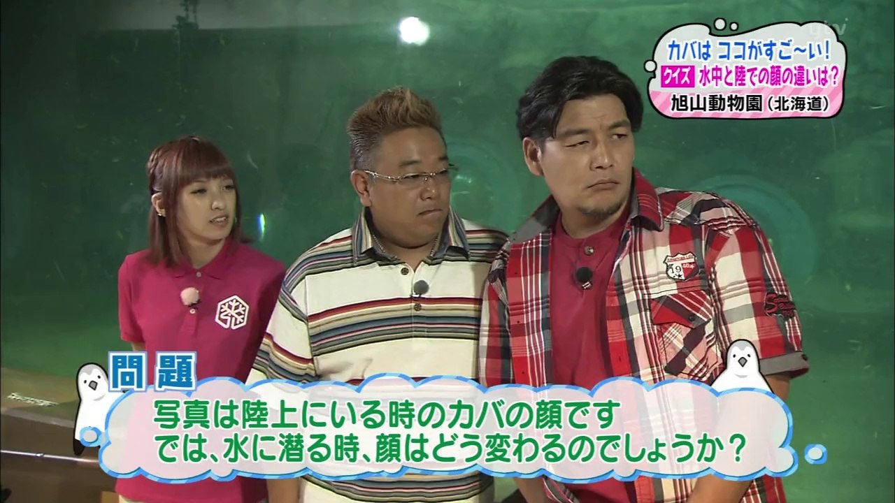 世界に誇れ！ニッポンの水族館 2-2