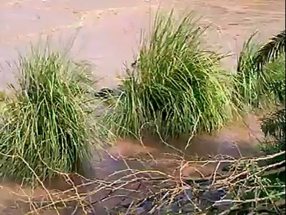 river chenab