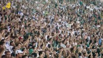 Top 5: motivos para o Palmeiras ir para cima do Criciúma