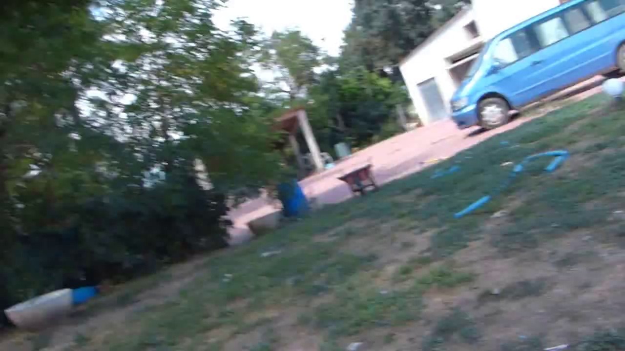 Mafalda's Collie -Hijos de Star & Indi3
