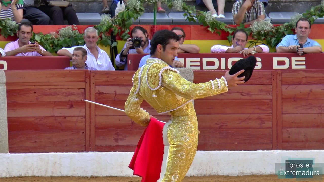 Toros en Almendralejo 1 de 3