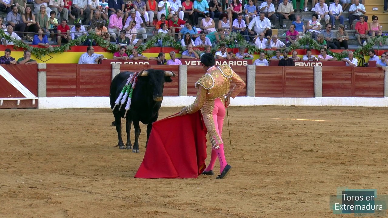 Toros en Almendralejo 2 de 3