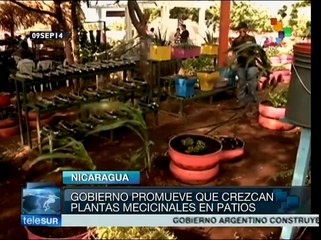 Nicaragua: Feria de Alimento, Nutrición y Medicina Natural