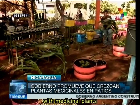 Nicaraguan gov't promotes natural food, nutrition and medicine
