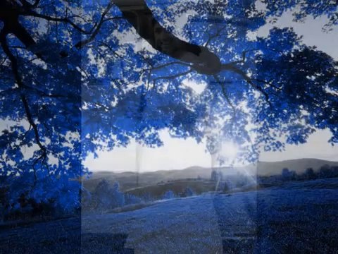 Ghir Ghir Aayi Kari Badariya - (SHAGUFA - 1953) - (Audio)