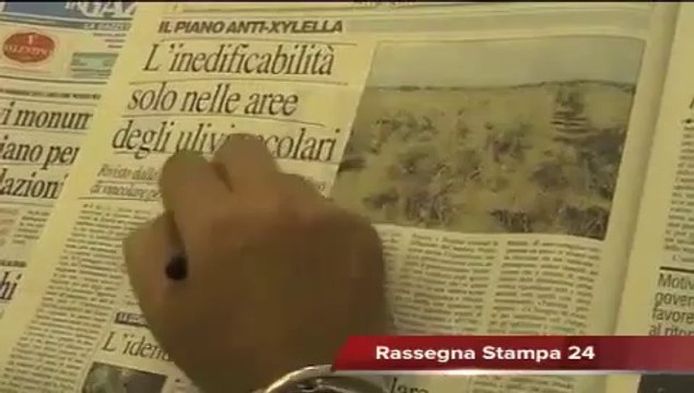 Leccenews24 Notizie dal Salento in tempo reale: Rassegna Stampa 9 Settembre 2014