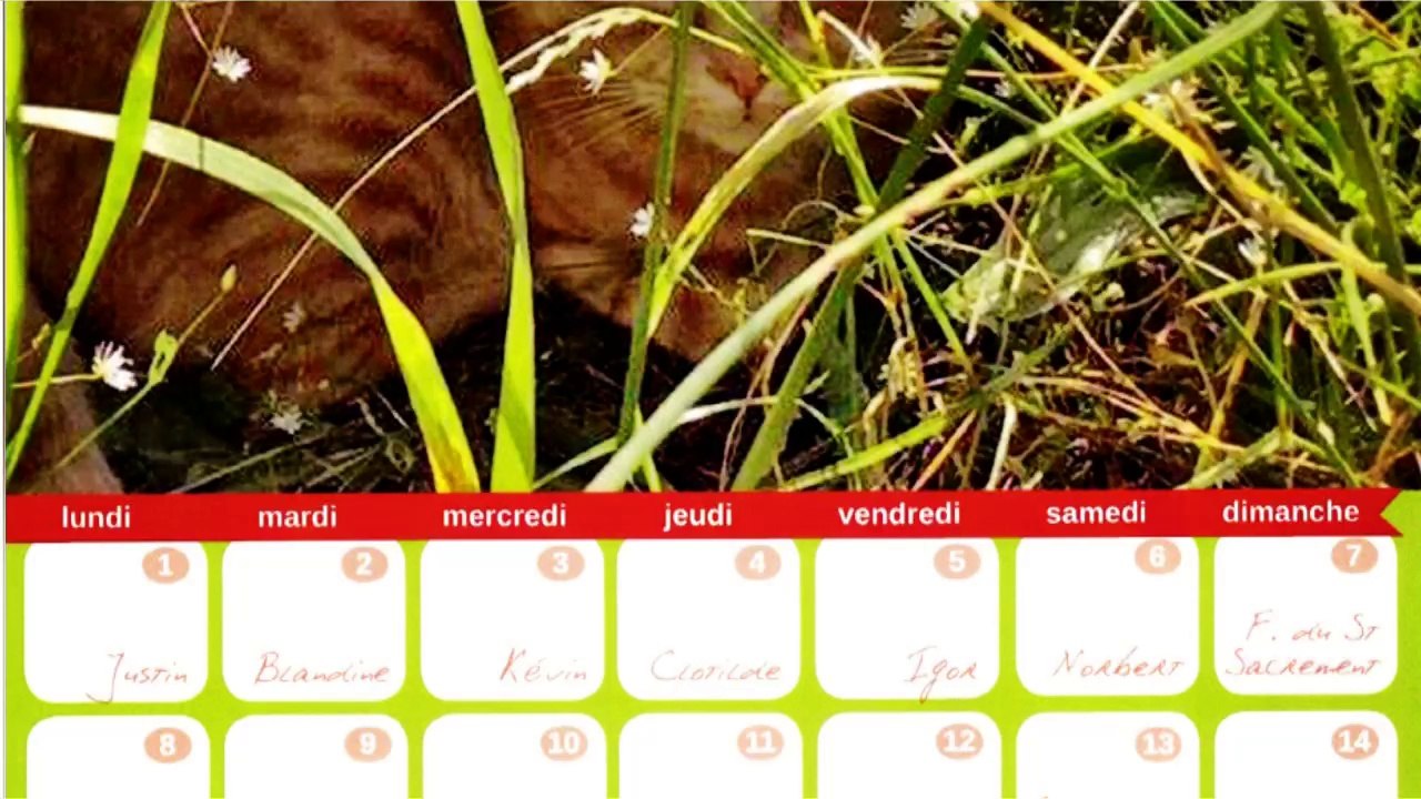 Calendrier APCLO 2015