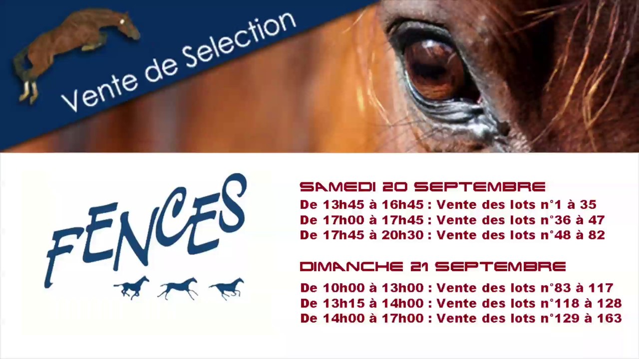 ventes fences 2014