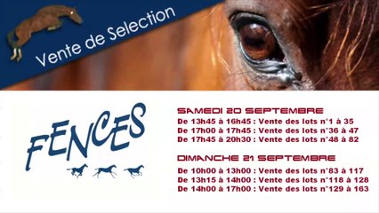 ventes fences 2014