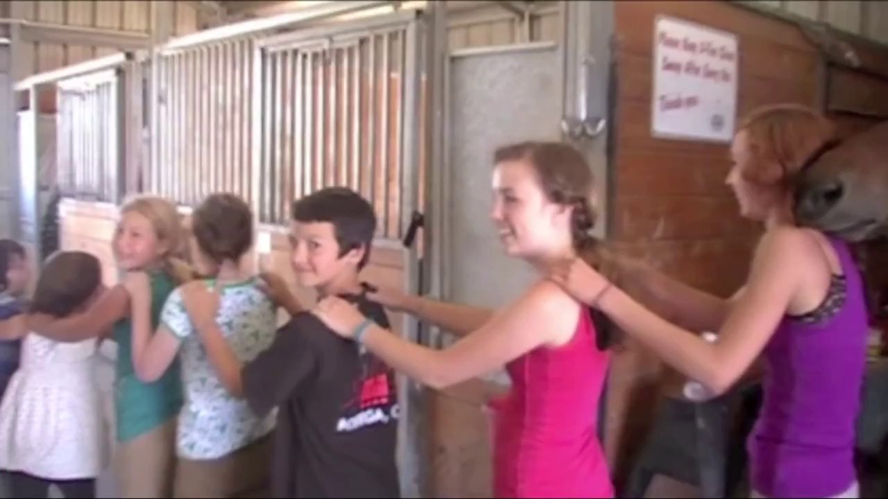 Horse Massage
