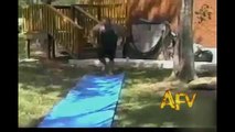 ☺ America's Funniest Home Videos Part 59 _ Compilation _ AFV