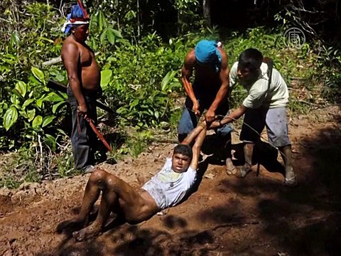 Вооружённые мачете индейцы защищают свой лес