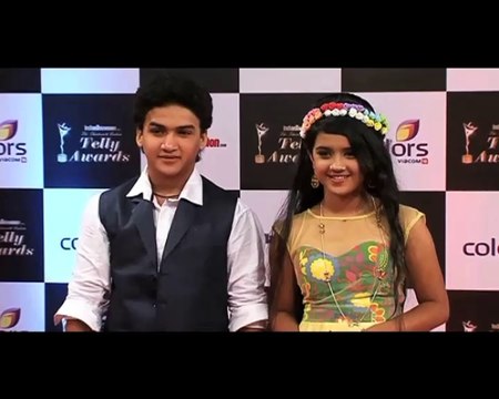Colors Telly Awards 2014 Red Carpet Full Show