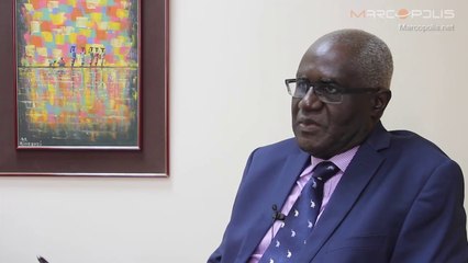 Cipharm: Pharmaceutical Production Sector in Côte d'Ivoire