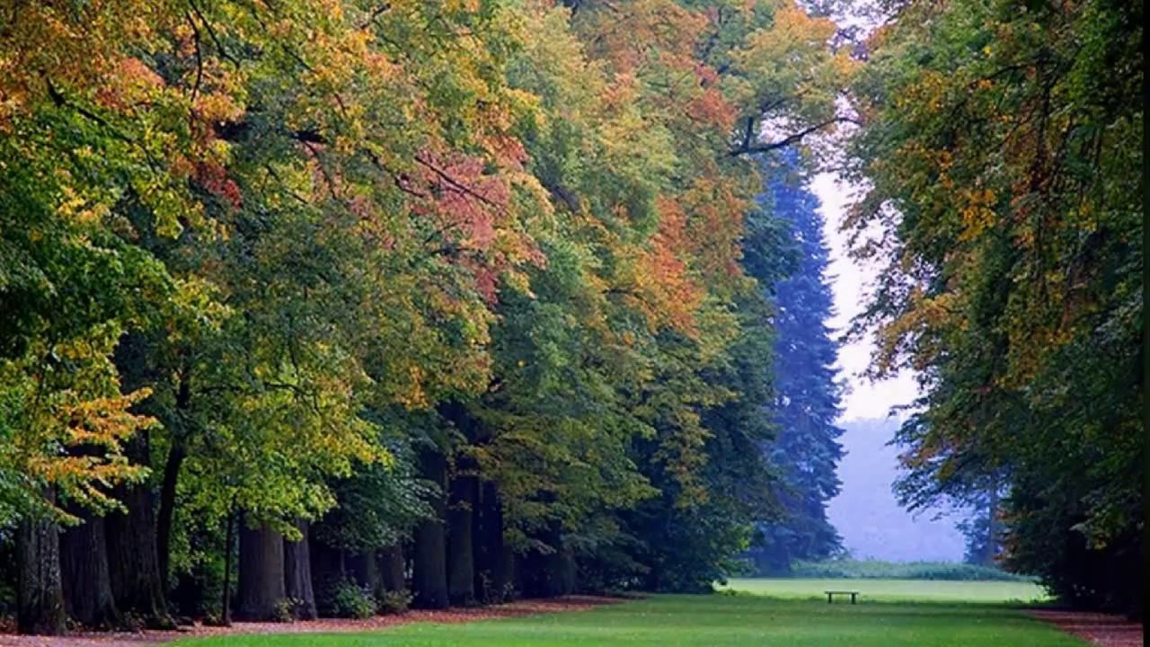 BOGUSŁAW MEC - Coś Śmiesznego