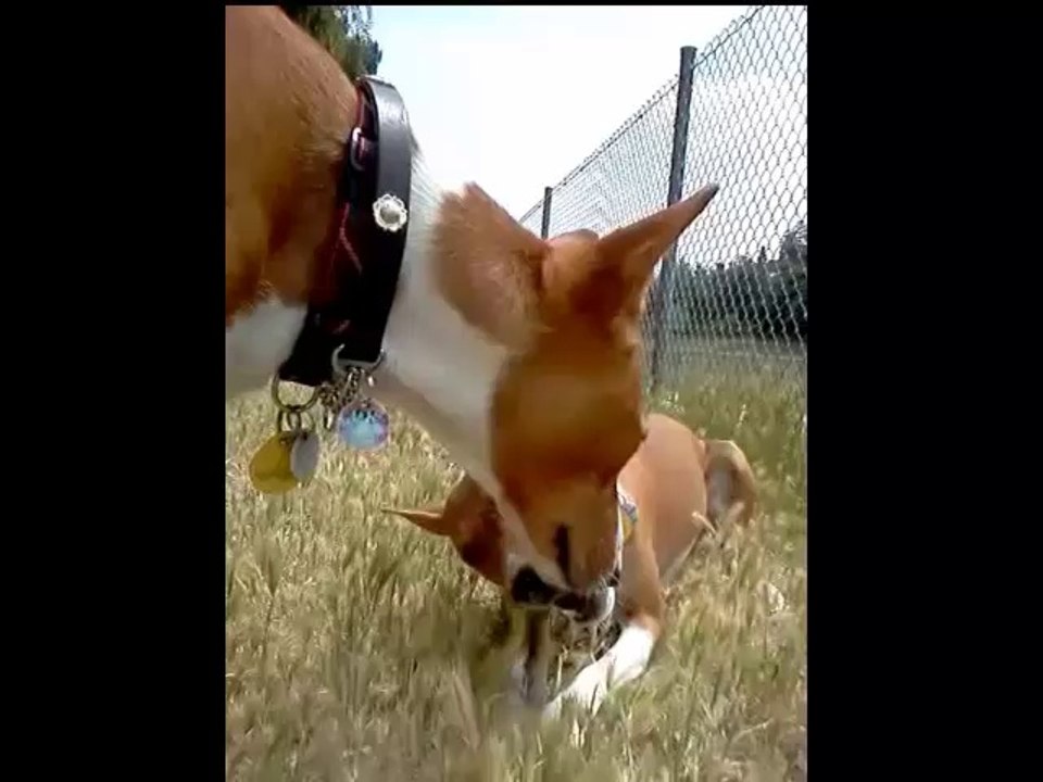 Stick Madness