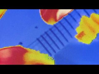 Crystal Antlers - "We All Gotta Die (Scientist Remix)" (Official Video)