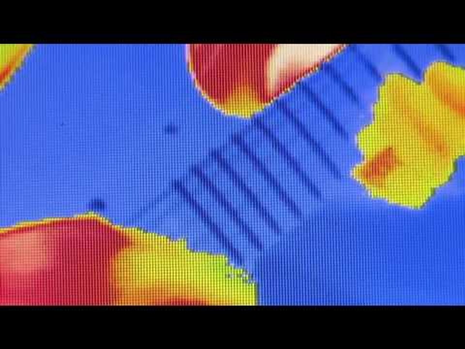 Crystal Antlers - "We All Gotta Die (Scientist Remix)" (Official Video)