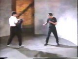 Jeet Kune Do Kick Punch
