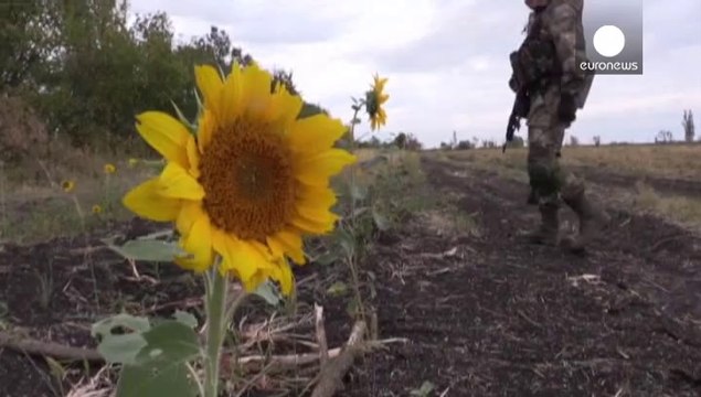 В Мариуполе вступает в силу комендантский час