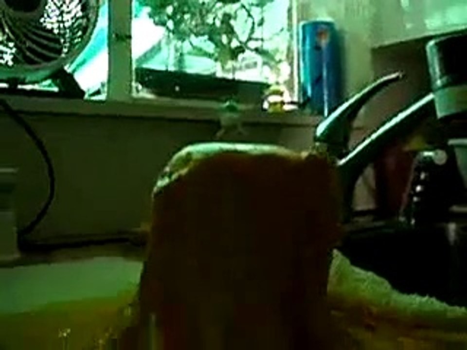 homemade volcano