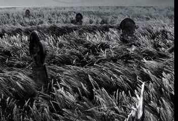 2014 - Buk - Akustycznie   . Trzeba zasnąć