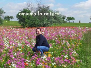 Siamo fatti così ...