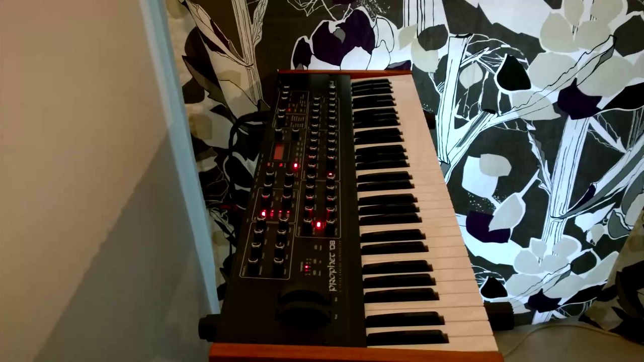 Dave Smith Instruments Prophet 08 Demo