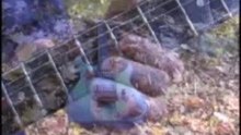 VDO 128