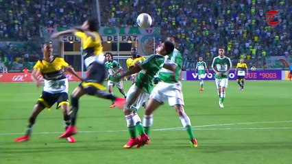 Palmeiras vence o Criciúma e respira aliviado