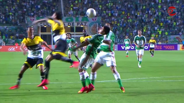 Palmeiras vence o Criciúma e respira aliviado